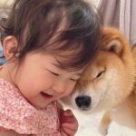 『大嫌いな爪切り』で泣き叫ぶ犬→1歳の女の子が駆け付けて…あまりにも愛おしい応援が37万再生「優しすぎ」「気付いたらニコニコしてた」(ブログ)