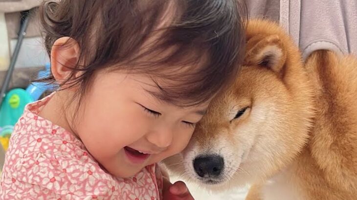 『大嫌いな爪切り』で泣き叫ぶ犬→1歳の女の子が駆け付けて…あまりにも愛おしい応援が37万再生「優しすぎ」「気付いたらニコニコしてた」(ブログ)