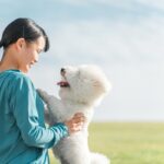 犬が『久しぶりに会った人』にみせる5つの行動　顔を覚えているの？興奮しているときの注意点まで(ブログ)