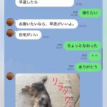 母とのLINE→いつも『犬の写真付き』で返信がきて…とんでもなく癒される『家族愛にあふれた光景』に思わずホッコリ「素敵な関係性」の声も(ブログ)