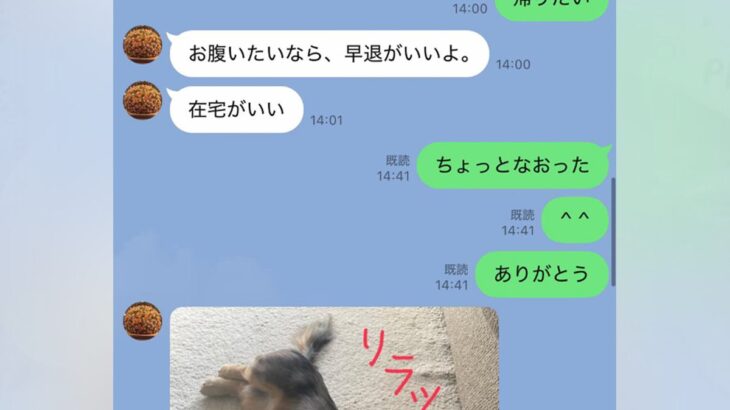 母とのLINE→いつも『犬の写真付き』で返信がきて…とんでもなく癒される『家族愛にあふれた光景』に思わずホッコリ「素敵な関係性」の声も(ブログ)