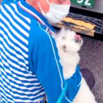 『佐川急便の配達員さん』が大好きな犬→散歩中に発見して…全力すぎる『あまりにも尊い光景』が36万再生「甘え上手」「微笑ましい」と反響(ブログ)