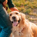 『人懐っこい犬』がしがちな仕草や行動5選　フレンドリーな性格に育てるコツとは？(ブログ)