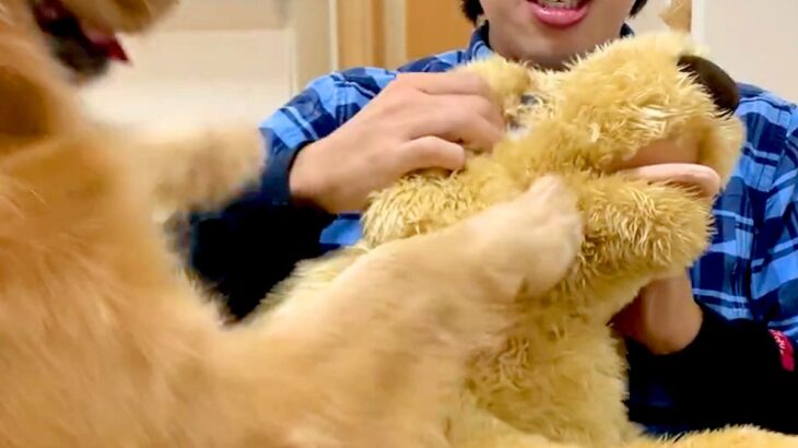 大型犬の目の前で『自分にそっくりなぬいぐるみ』を可愛がったらどうするのか検証→まるで彼女？恋人のようなリアクションが話題「大好き伝わる」(ブログ)