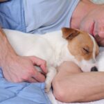 愛犬が一緒に寝てくれないときの理由7つ　考えられる心理から配慮してあげるべきことまで(ブログ)