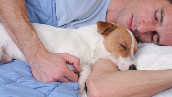愛犬が一緒に寝てくれないときの理由7つ　考えられる心理から配慮してあげるべきことまで(ブログ)