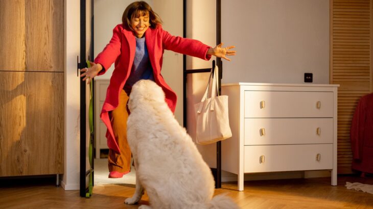 犬が『飼い主の帰宅』に敏感な3つの理由　なぜ察知できるの？ワンコたちが持つ驚きの能力とは(ブログ)