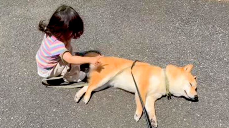 1歳の女の子と犬が散歩をしていたら、突然『拒否犬モード』になってしまい…まさかの光景が77万再生「ツンツン可愛い」「お手上げｗ」と反響(ブログ)