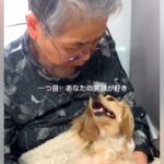 おばあちゃんと犬のふれあいを記録→想像以上に愛にあふれていて…思わず涙する『あまりにも尊い光景』に反響「すごく素敵な関係」「癒された」(ブログ)