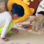 リンゴを食べている小さな男の子→犬に分けてあげようとしたら…とんでもなく尊い『素敵な展開』に反響「優しくて可愛い」「ほっこりした」(ブログ)