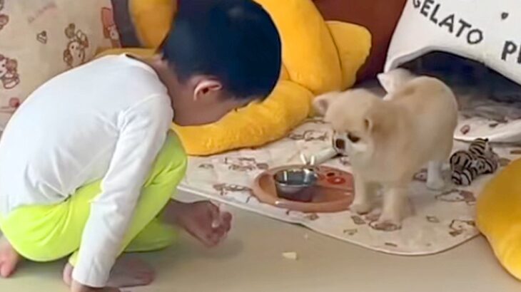 リンゴを食べている小さな男の子→犬に分けてあげようとしたら…とんでもなく尊い『素敵な展開』に反響「優しくて可愛い」「ほっこりした」(ブログ)
