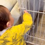 赤ちゃんがお母さんの真似をして『犬のご飯を準備した』結果…想像以上の『尊すぎるやり取り』が20万再生「可愛すぎてニヤけた」「お利口さん」(ブログ)