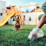 他人を困らせる犬の飼い主の『マナー違反』5選　トラブルを引き起こすNG行動や周りにすべき配慮まで(ブログ)