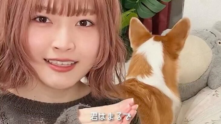 歌っていたら、後ろにいる犬がイタズラしはじめて…まるでミュージカル？愛おしい展開が27万再生「めちゃくちゃいい顔ｗ」「歌うまくて笑った」(ブログ)