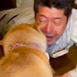 出張を終えたお父さん→犬に内緒で帰宅した結果…泣けるほど愛おしい『サプライズの大歓迎』が32万再生「尻尾が最高すぎる」「みんな可愛い」(ブログ)
