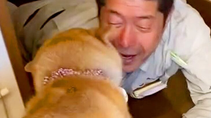 出張を終えたお父さん→犬に内緒で帰宅した結果…泣けるほど愛おしい『サプライズの大歓迎』が32万再生「尻尾が最高すぎる」「みんな可愛い」(ブログ)