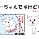 ちーちゃんですけどもっ【第320話】「わんこの水分」(ブログ)