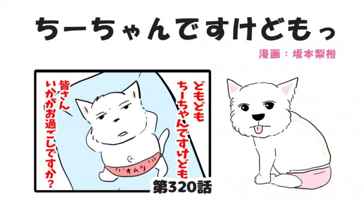 ちーちゃんですけどもっ【第320話】「わんこの水分」(ブログ)
