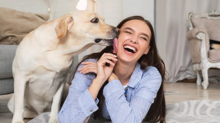 犬が飼い主に『感謝』を伝えているときにみせる行動4選　見逃したくない愛犬からのサインとは？(ブログ)
