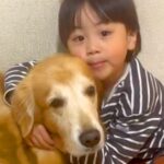 男の子が『穏やかでおおらかな性格になった理由』→2匹の大型犬と育った軌跡が15万再生「素敵」「大切なことを教えてくれる存在」と絶賛続々(ブログ)