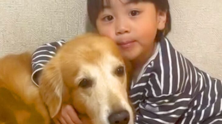 男の子が『穏やかでおおらかな性格になった理由』→2匹の大型犬と育った軌跡が15万再生「素敵」「大切なことを教えてくれる存在」と絶賛続々(ブログ)