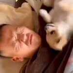 朝6時、爆睡しているパパ→起きた犬が隣で…想像を超える『激しい目覚まし方法』が16万再生「寝坊せずにすみそうｗｗ」「痛そうで草」と爆笑(ブログ)
