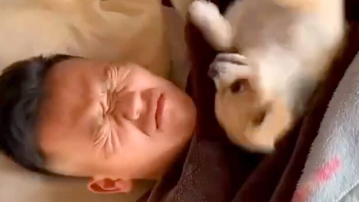 朝6時、爆睡しているパパ→起きた犬が隣で…想像を超える『激しい目覚まし方法』が16万再生「寝坊せずにすみそうｗｗ」「痛そうで草」と爆笑(ブログ)