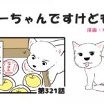 ちーちゃんですけどもっ【第321話】「大好物ですけどもっ」(ブログ)