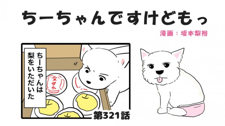 ちーちゃんですけどもっ【第321話】「大好物ですけどもっ」(ブログ)
