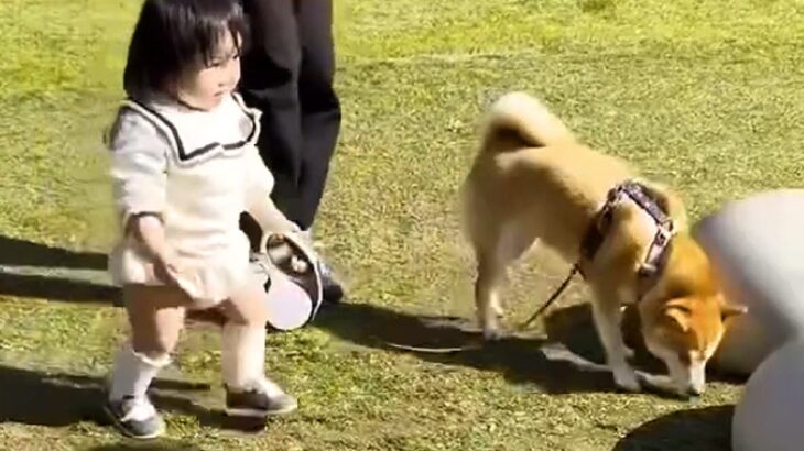 １歳の女の子が『初めて犬のリードを持った』結果→歩く速さが…あまりにも尊い『素敵な光景』が25万再生「絆感じる」「泣き真似かわいいｗ」(ブログ)