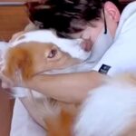 病気になり、家族と隔離生活を開始→体調不良を察した犬が…尊すぎる『愛にあふれた行動』が111万再生「心配してる」「気の毒だけど羨ましい」(ブログ)
