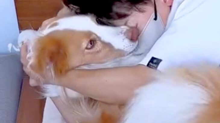 病気になり、家族と隔離生活を開始→体調不良を察した犬が…尊すぎる『愛にあふれた行動』が111万再生「心配してる」「気の毒だけど羨ましい」(ブログ)