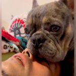 転がっていたら、犬が顔面に『口のタプタプ』を乗せてきて…構ってほしくて見せた『コントのような行動』が18万再生「新しいｗ」「独り占め」(ブログ)