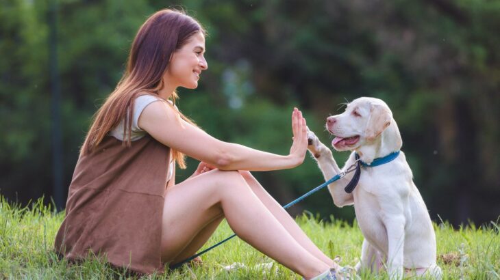 『犬は飼い主に似る』のは本当？見た目や性格に影響する理由を研究結果を基に解説(ブログ)