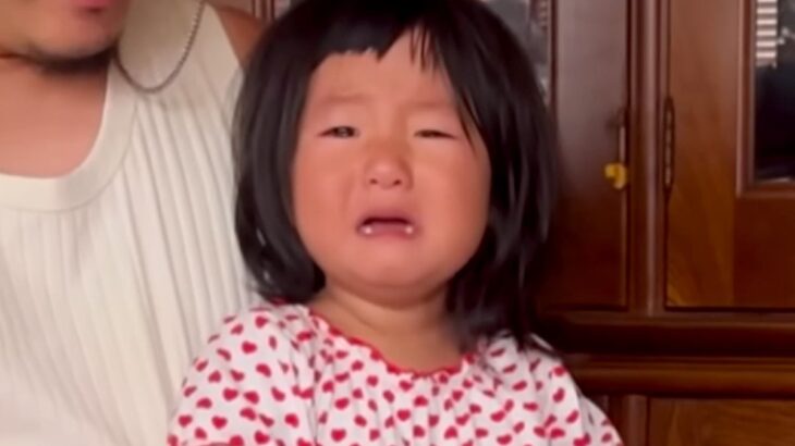 おばあちゃんと離れたくなくて号泣する女の子…犬がみせた『泣ける行動』に反響「ウルっときた」「大好きなんだね」「仕事いけなくなる」と感動(ブログ)