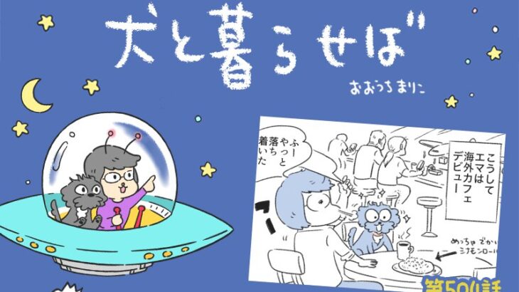 犬と暮らせば【第504話】「特別じゃないという幸せ」(ブログ)