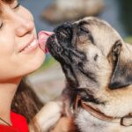 犬があなたのことを舐めてくる心理5選　ペロペロが止まらない理由やしつこすぎるときの対処法(ブログ)