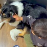 仲良しな男の子と犬→2年前を振り返ると、気持ちは一方通行で…泣けるほど尊い『愛を育んできた軌跡』に感動「目がとろけてる」「幸せそう」(ブログ)