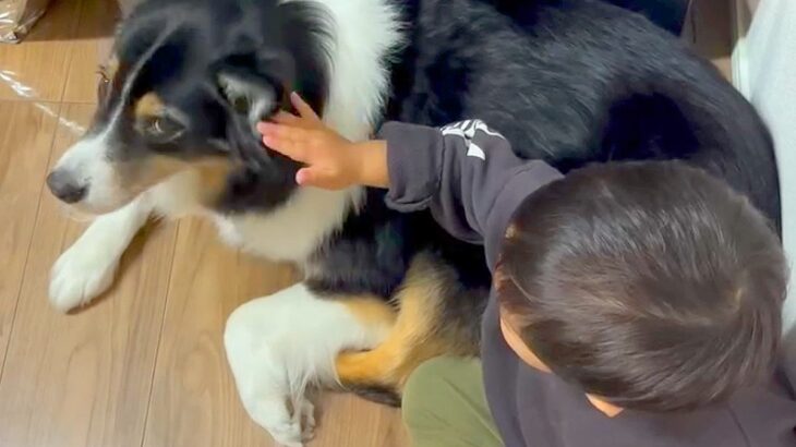 仲良しな男の子と犬→2年前を振り返ると、気持ちは一方通行で…泣けるほど尊い『愛を育んできた軌跡』に感動「目がとろけてる」「幸せそう」(ブログ)