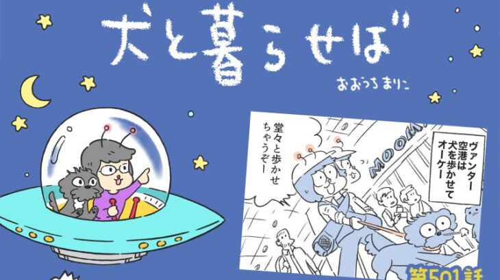 犬と暮らせば【第501話】「北欧っぽい」(ブログ)