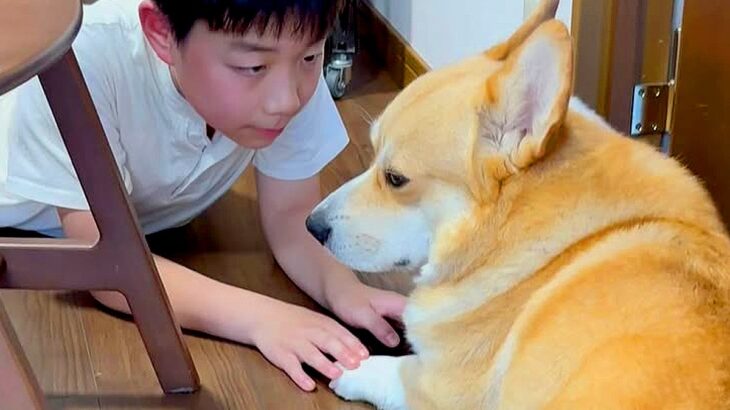 大好きなお兄ちゃんが1泊2日の外出→察した犬が…切ないお別れの光景と『再会の瞬間』が素敵すぎると9万再生「胸がキュンとした」「優しい」(ブログ)