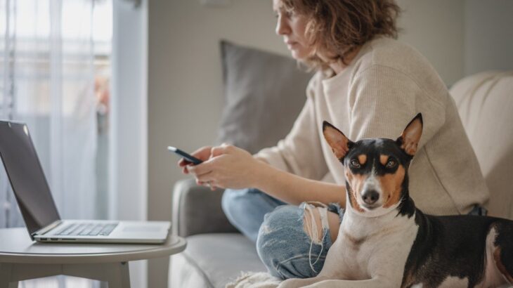『犬を飼うのに向いていない人』の共通点5選　ワンコを不幸にする人の特徴とは？(ブログ)