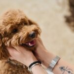 犬に『ありがとう』を伝える方法5選　心から感謝の気持ちを伝えるにはどうしたらいいの？(ブログ)