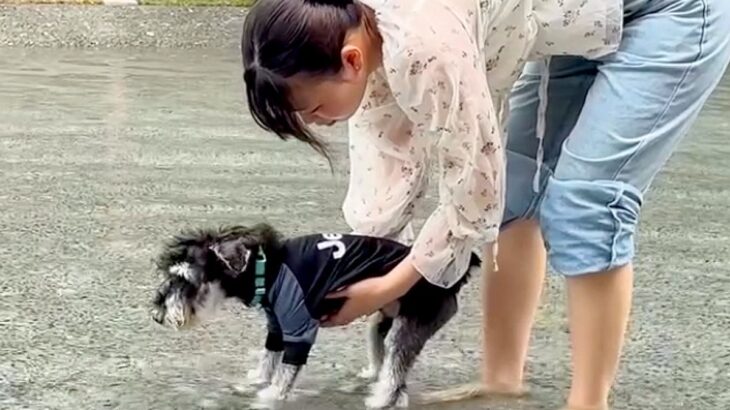 プールに連れて行った犬がフリーズ→『嫌な思いをさせてしまった』と反省していたら…3分後に見せた『まさかの変化』に反響「最高ｗ」「可愛い」(ブログ)