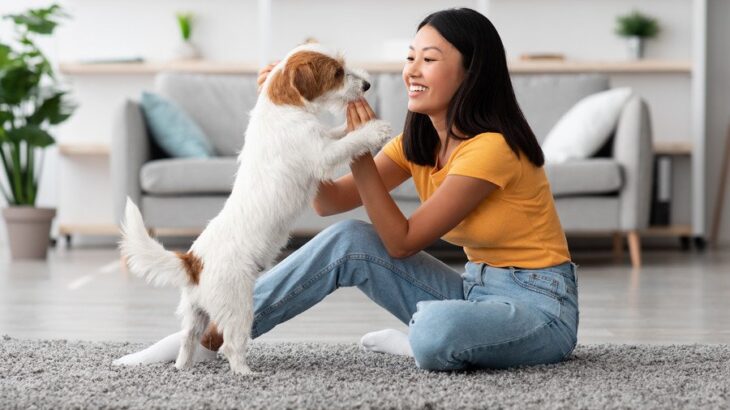 暑い夏だからこそ愛犬とふれあおう！室内でできる絆を深める遊び方とは【現役獣医が解説】(ブログ)