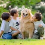 ３人の男の子が『大型犬と一緒に育った』結果…涙が止まらない『家族愛にあふれた光景』が25万再生「泣けた…尊い」「素敵な日常」と感動の声も(ブログ)