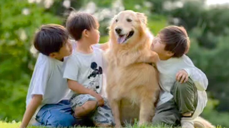 ３人の男の子が『大型犬と一緒に育った』結果…涙が止まらない『家族愛にあふれた光景』が25万再生「泣けた…尊い」「素敵な日常」と感動の声も(ブログ)