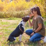 愛犬に『おすわり』を楽しく教える3つのスモールステップ　座ってからご褒美をあげるのでは遅い？(ブログ)