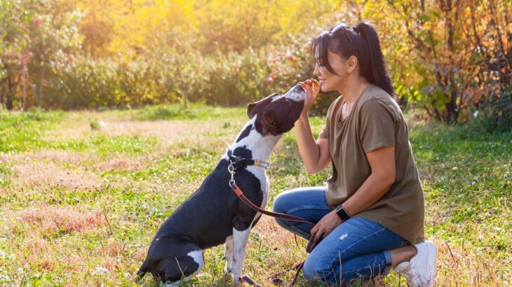 愛犬に『おすわり』を楽しく教える3つのスモールステップ　座ってからご褒美をあげるのでは遅い？(ブログ)
