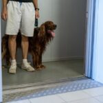 犬と『ペット可のマンション』で暮らすときに注意すべきこと５つ　守るべきマナーや注意点とは(ブログ)